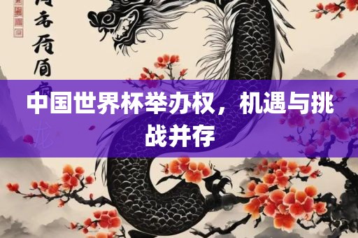 中国世界杯举办权，机遇与挑战并存