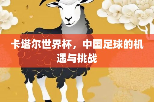卡塔尔世界杯，中国足球的机遇与挑战