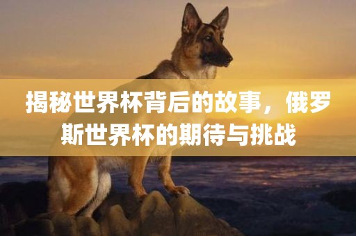 揭秘世界杯背后的故事，俄罗斯世界杯的期待与挑战