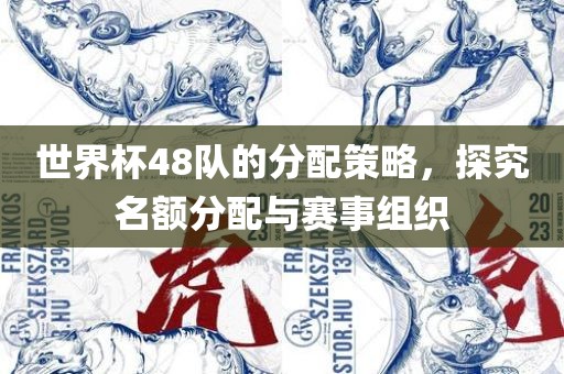 世界杯48队的分配策略，探究名额分配与赛事组织