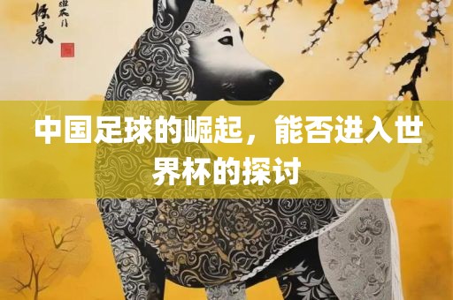 中国足球的崛起，能否进入世界杯的探讨