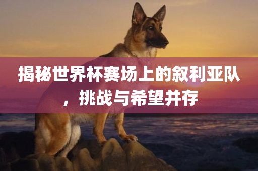 揭秘世界杯赛场上的叙利亚队，挑战与希望并存