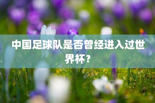 中国足球队是否曾经进入过世界杯？
