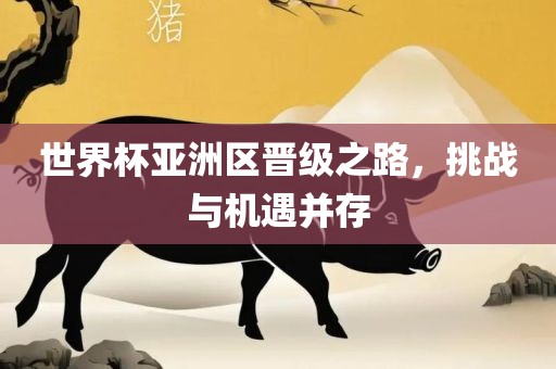 世界杯亚洲区晋级之路，挑战与机遇并存