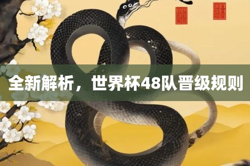 全新解析，世界杯48队晋级规则