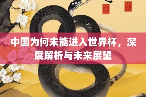 中国为何未能进入世界杯，深度解析与未来展望