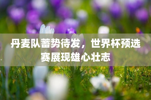 丹麦队蓄势待发，世界杯预选赛展现雄心壮志