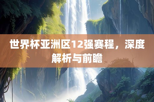 世界杯亚洲区12强赛程，深度解析与前瞻