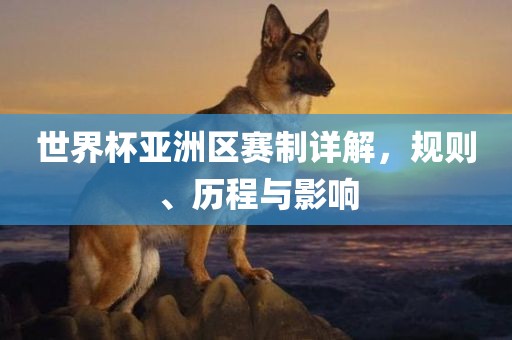 世界杯亚洲区赛制详解，规则、历程与影响