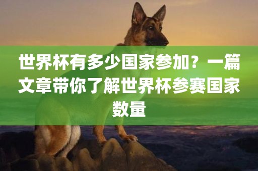 世界杯有多少国家参加？一篇文章带你了解世界杯参赛国家数量