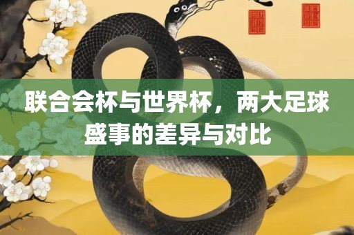 联合会杯与世界杯，两大足球盛事的差异与对比