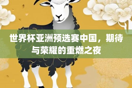 世界杯亚洲预选赛中国，期待与荣耀的重燃之夜
