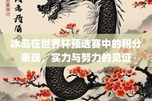 冰岛在世界杯预选赛中的积分表现，实力与努力的见证