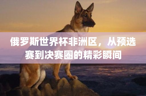 俄罗斯世界杯非洲区，从预选赛到决赛圈的精彩瞬间