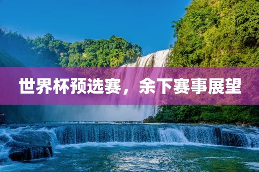 世界杯预选赛，余下赛事展望