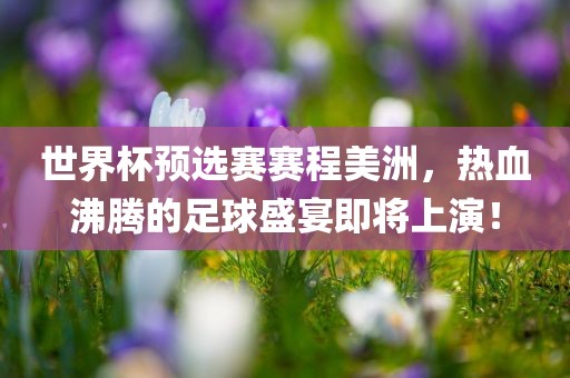 世界杯预选赛赛程美洲，热血沸腾的足球盛宴即将上演！