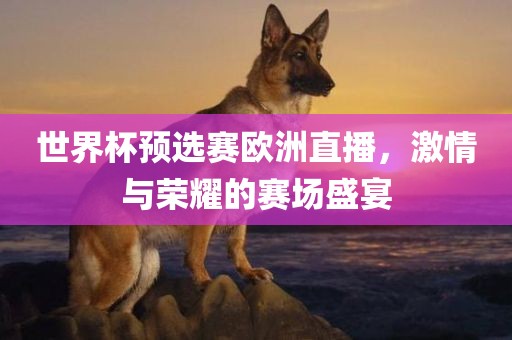 世界杯预选赛欧洲直播，激情与荣耀的赛场盛宴