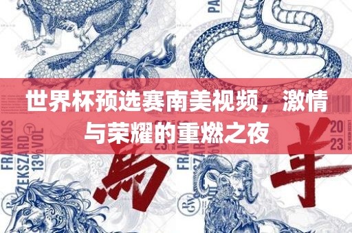 世界杯预选赛南美视频，激情与荣耀的重燃之夜