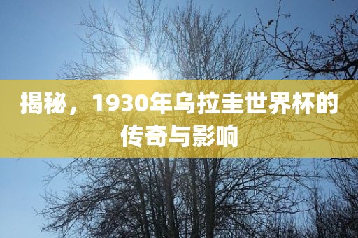 揭秘，1930年乌拉圭世界杯的传奇与影响