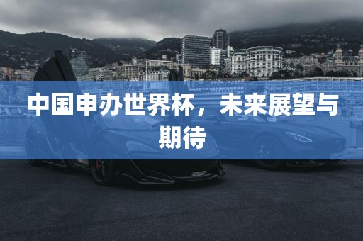 中国申办世界杯，未来展望与期待