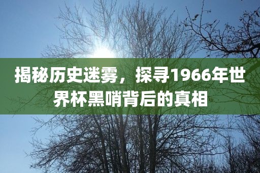 揭秘历史迷雾，探寻1966年世界杯黑哨背后的真相