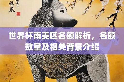 世界杯南美区名额解析，名额数量及相关背景介绍