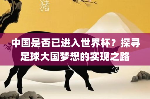 中国是否已进入世界杯？探寻足球大国梦想的实现之路