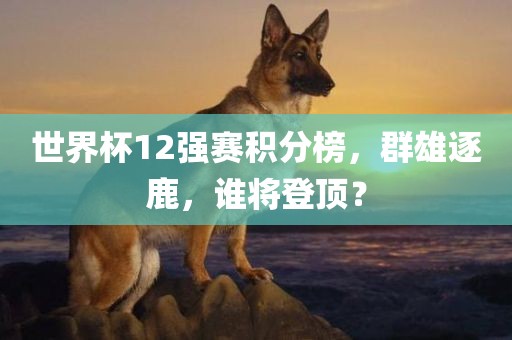 世界杯12强赛积分榜，群雄逐鹿，谁将登顶？