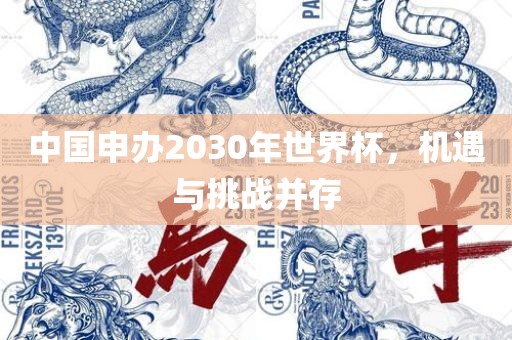 中国申办2030年世界杯，机遇与挑战并存
