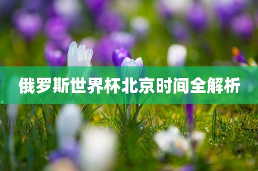 俄罗斯世界杯北京时间全解析