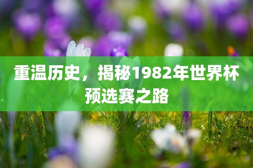 重温历史，揭秘1982年世界杯预选赛之路