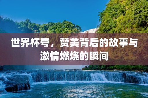 世界杯夸，赞美背后的故事与激情燃烧的瞬间
