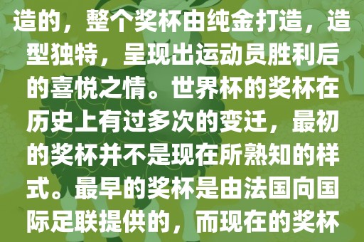 世界杯的杯来源于为了纪念雷米特，同时也是为了鼓励足球运动的发展，国际足联将这一荣誉奖杯命名为雷米特杯。其最初是由法国雕刻家设计并创造的，整个奖杯由纯金打造，造型独特，呈现出运动员胜利后的喜悦之情。世界杯的奖杯在历史上有过多次的变迁，最初的奖杯并不是现在所熟知的样式。最早的奖杯是由法国向国际足联提供的，而现在的奖杯是在多次设计之后最终确定的。因此，世界杯的杯来源于对足球运动的纪念和鼓励，同时也是经过多次设计和改进而成的。