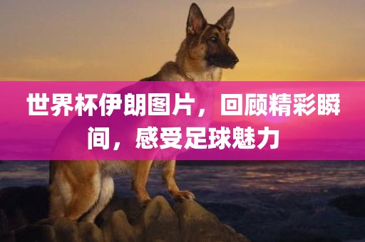 世界杯伊朗图片，回顾精彩瞬间，感受足球魅力