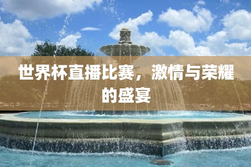 世界杯直播比赛，激情与荣耀的盛宴