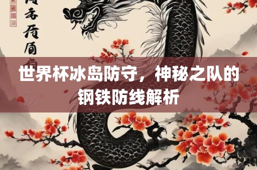 世界杯冰岛防守，神秘之队的钢铁防线解析