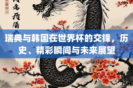 瑞典与韩国在世界杯的交锋，历史、精彩瞬间与未来展望