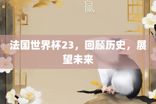 法国世界杯23，回顾历史，展望未来