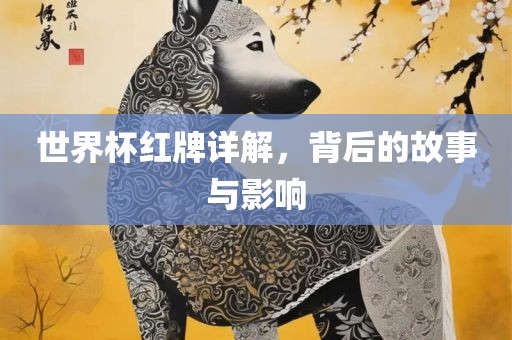 世界杯红牌详解，背后的故事与影响