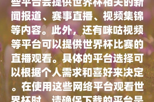 世界杯网络平台包括但不限于央视新闻、抖音、快手等。这些平台会提供世界杯相关的新闻报道、赛事直播、视频集锦等内容。此外，还有咪咕视频等平台可以提供世界杯比赛的直播观看。具体的平台选择可以根据个人需求和喜好来决定。在使用这些网络平台观看世界杯时，请确保下载的平台是官方正版，以保证良好的观赛体验。