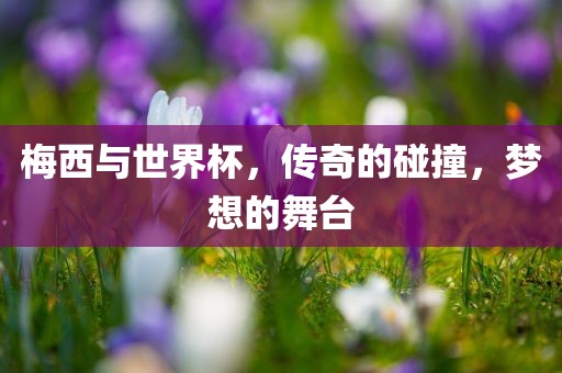 梅西与世界杯，传奇的碰撞，梦想的舞台
