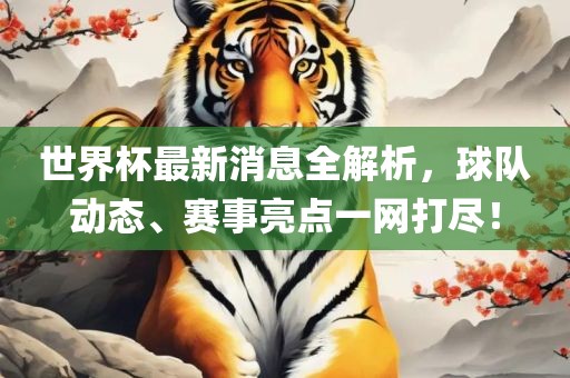 世界杯最新消息全解析，球队动态、赛事亮点一网打尽！