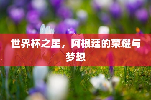 世界杯之星，阿根廷的荣耀与梦想