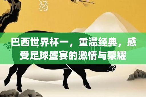 巴西世界杯一，重温经典，感受足球盛宴的激情与荣耀