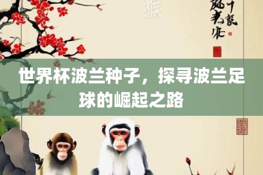 世界杯波兰种子，探寻波兰足球的崛起之路