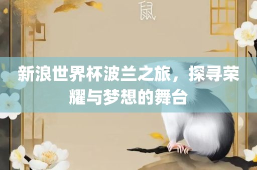新浪世界杯波兰之旅，探寻荣耀与梦想的舞台