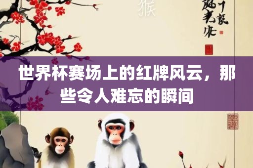 世界杯赛场上的红牌风云，那些令人难忘的瞬间