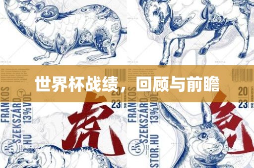 世界杯战绩，回顾与前瞻