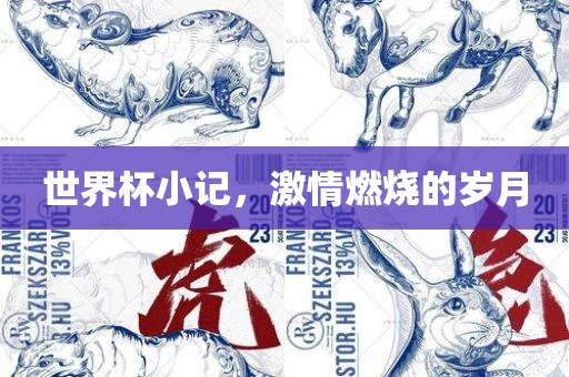 世界杯小记，激情燃烧的岁月