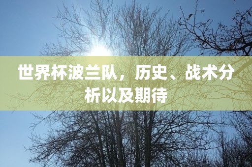 世界杯波兰队，历史、战术分析以及期待